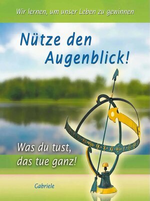 cover image of Nütze den Augenblick